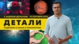 Листья, производящие топливо, и суперспособность геймеров | «Детали»