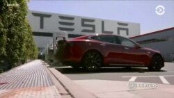 Противоречивые данные о выкупе акций Tesla